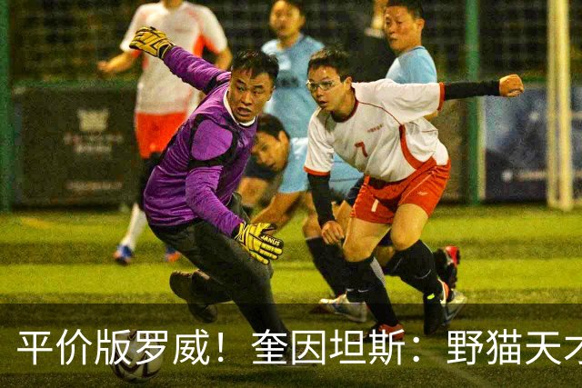 平价版罗威！奎因坦斯：野猫天才内线 存伤病隐患 罚球致敬米切罗